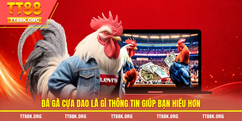 Đá gà cựa dao là gì thông tin giúp bạn hiểu hơn