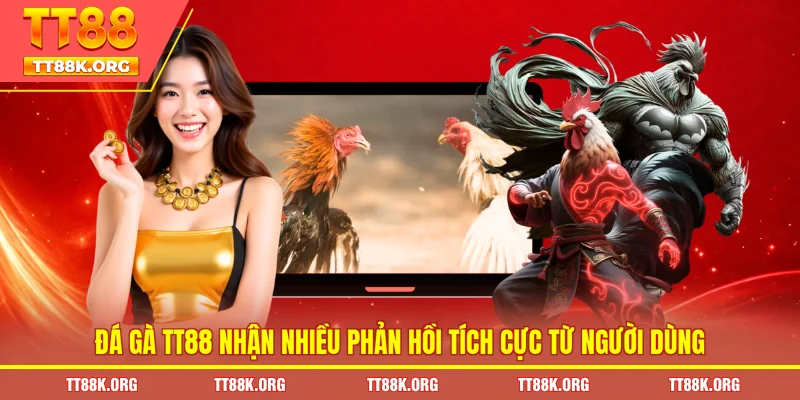 Đá gà TT88 nhận nhiều phản hồi tích cực từ người dùng