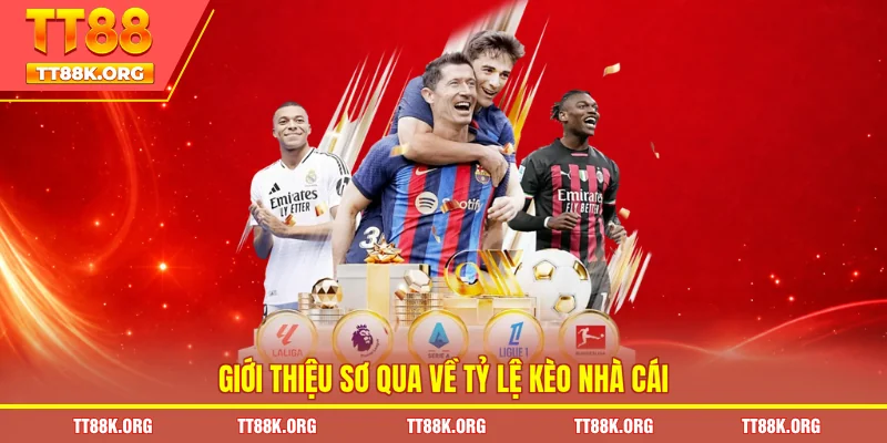 Giới thiệu sơ qua về tỷ lệ kèo nhà cái