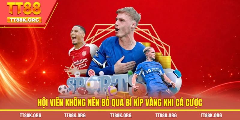 Hội viên không nên bỏ qua bí kíp vàng khi cá cược