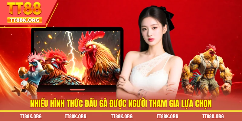 Nhiều hình thức đấu gà được người tham gia lựa chọn