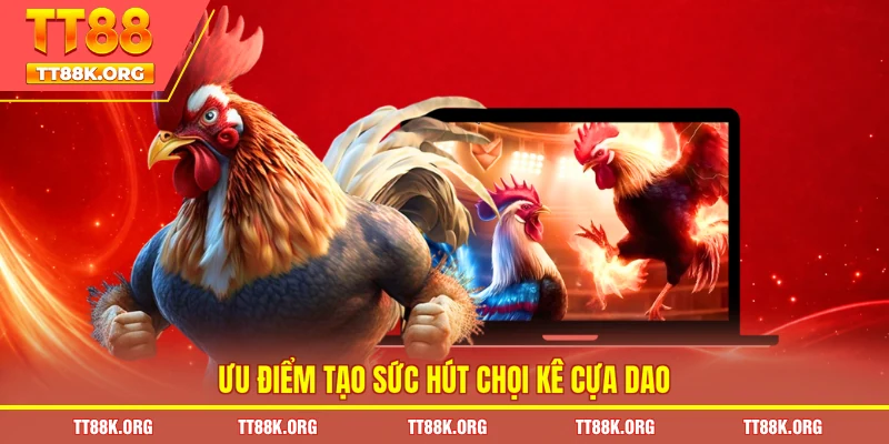 Ưu điểm tạo sức hút chọi kê cựa dao
